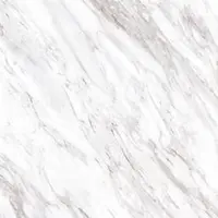 กระเบื้องปูพื้น COTTO GP 60x60 ซม. (24x24 นิ้ว) เอสเซนส์ (II) ขาว (SATIN) R/TPM
