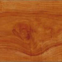 กระเบื้องยางไวนิลปูพื้น รุ่น Dynoflex Wood Series 2 DYNOFLEX WE 1061