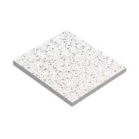 Armstrong Cortega RH99 60x120 cm 16 mm