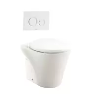 Wall Faced Toilet TOTO CWT824NPJ