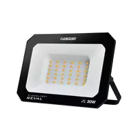 สปอร์ตไลท์ LED NAGAS REVAL 30 วัตต์ WARM WHITE สีดำ