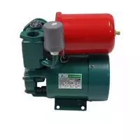 Automatic water pump TEMCO 370 watts, bare