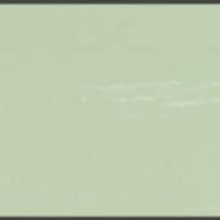 กระเบื้องยางไวนิลปูพื้น รุ่น DYNOFLEX Light Green CL-39