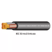 สายไฟ IEC 53 4x2.5 ตร.มม. สีดำ BCC