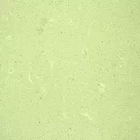 Middle beige flower Compress Marble 120x300 cm