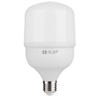 หลอดไฟ LED E27 30W เดย์ไลท์ ทรงกระบอก HITEK HIGH WATT มวยไทย