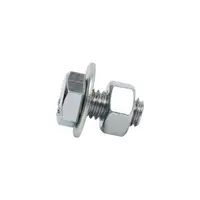 น็อตครบชุด ชุบขาว DEXZON 1/2X1" 0.5kg