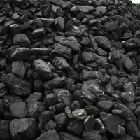 Coal ถ่านหิน