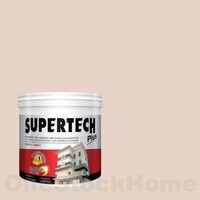 TOA SP604 TOA Supertech Plus Matt for Exterior SP604 Sandstone