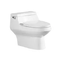 One Piece Toilet MOYA SN-T010 4.8 L