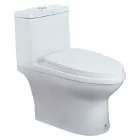 One Piece Toilet Nasco NC-8644S-WA 3/4.8 L