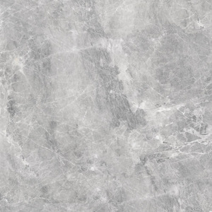 COTTO GP KAOLA GREY 09006 (POL) 24x24 PM A Grade