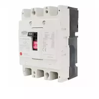 Circuit breaker 3P 100A model NF125-CW