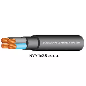สายไฟ NYY 1x2.5 ตร.มม. สีดำ BCC 100 เมตร