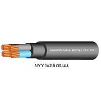 สายไฟ NYY 1x2.5 ตร.มม. BCC