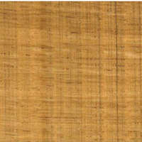 กระเบื้องยางปูพื้นไวนิล ลายไม้ รุ่น WOOD INSPIRE W-2913