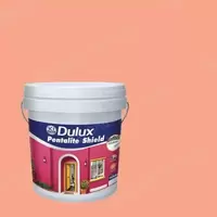 #48YR 50/372 Dulux Pentalite Shield For Exterior and Interior Matt Apricot Ice 48YR 50/372
