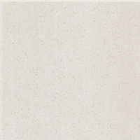 กระเบื้องปูพื้น 60x60 ซม. (24x24 นิ้ว) หินควอทซ์ CQ7003