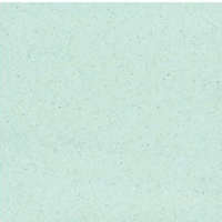 กระเบื้องยางไวนิลปูพื้น รุ่น STARFLOR CP  CP-4615